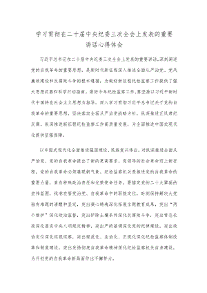 学习贯彻在二十届中央纪委三次全会上发表的重要讲话心得体会.docx