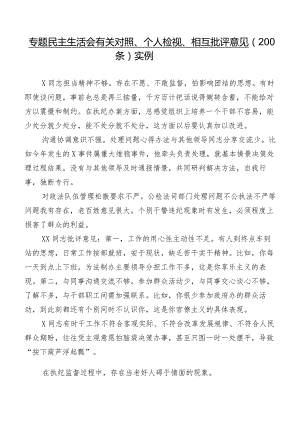 专题民主生活会有关对照、个人检视、相互批评意见（200条）实例.docx