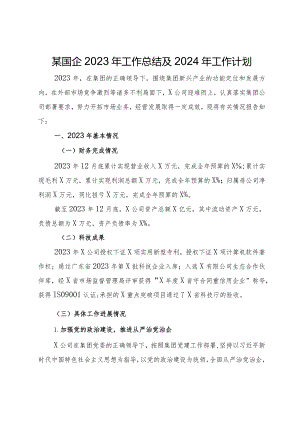 某国企2023年工作总结及2024年工作计划.docx