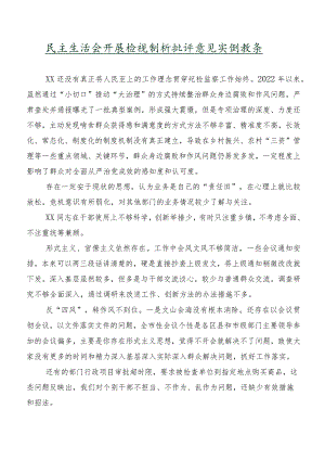 民主生活会开展检视剖析批评意见实例数条.docx