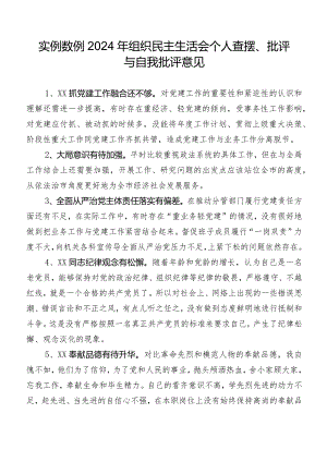 实例数例2024年组织民主生活会个人查摆、批评与自我批评意见.docx