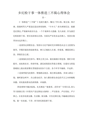 乡纪检干事一体推进三不腐心得体会.docx
