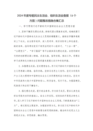 2024年度专题民主生活会、组织生活会查摆（6个方面）问题整改措施合集汇总.docx