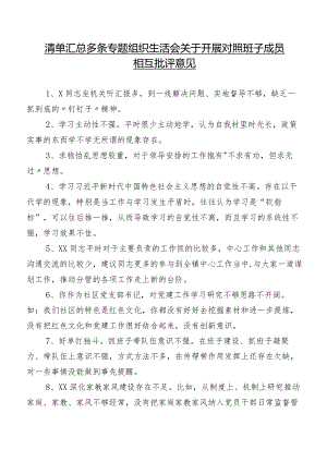 清单汇总多条专题组织生活会关于开展对照班子成员相互批评意见.docx