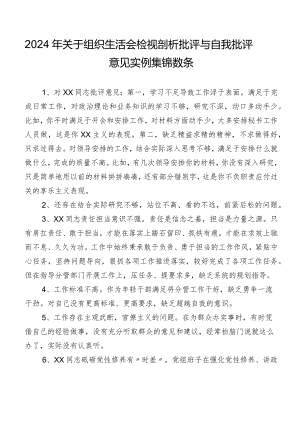 2024年关于组织生活会检视剖析批评与自我批评意见实例集锦数条.docx
