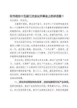 在市政协十五届三次会议开幕会上的讲话2篇.docx