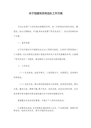 关于组建党员突击队工作方案.docx