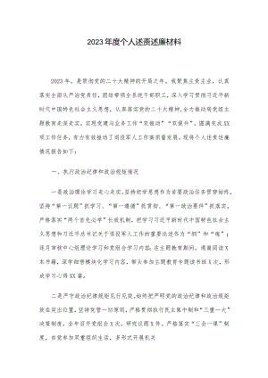 2023年度个人述责述廉材料.docx