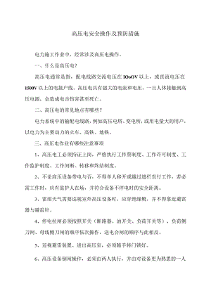 高压电安全操作及预防措施（2024年）.docx