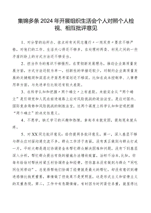 集锦多条2024年开展组织生活会个人对照个人检视、相互批评意见.docx