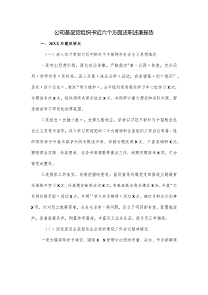 公司基层党组织书记六个方面述职述廉报告.docx