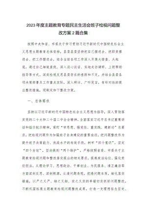 2023年度主题教育专题民主生活会班子检视问题整改方案2篇合集.docx