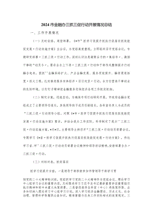 2024市金融办三抓三促行动开展情况总结.docx