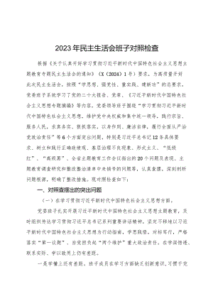 医院主题教育专题民主生活会班子对照检查4500字（典型案例+上年度整改）.docx