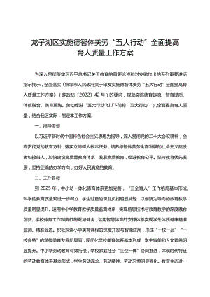 龙子湖区实施德智体美劳“五大行动”全面提高育人质量工作方案.docx