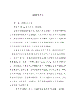巡察表态发言.docx