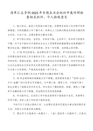 清单汇总多例2023年专题生活会组织开展对照检查相互批评、个人检视意见.docx