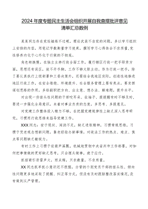 2024年度专题民主生活会组织开展自我查摆批评意见清单汇总数例.docx