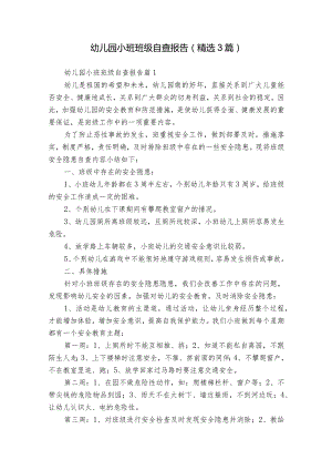 幼儿园小班班级自查报告（精选3篇）.docx