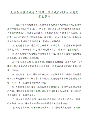 民主生活会开展个人对照、班子成员相互批评意见汇总多例.docx