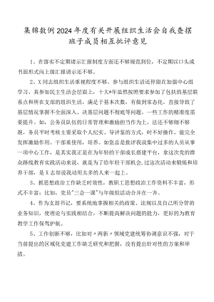 集锦数例2024年度有关开展组织生活会自我查摆班子成员相互批评意见.docx