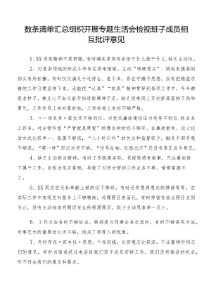 数条清单汇总组织开展专题生活会检视班子成员相互批评意见.docx