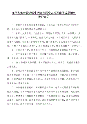 实例多条专题组织生活会开展个人检视班子成员相互批评意见.docx