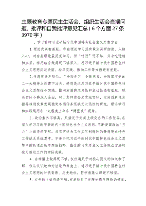 2023年主题教育民主生活会对照检查批评意见清单（践行宗旨等6个方面）.docx