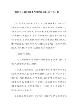 区总工会2023年工作总结和2024年工作计划.docx