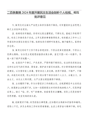 二百条集锦2024年度开展民主生活会剖析个人检视、相互批评意见.docx