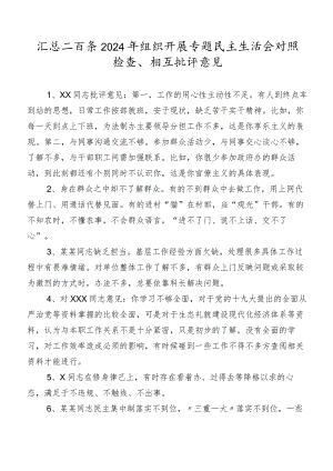 汇总二百条2024年组织开展专题民主生活会对照检查、相互批评意见.docx