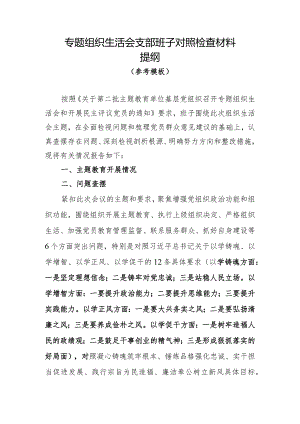 00专题组织生活会支部班子对照检查材料-参考.docx