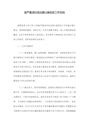 县严重违纪违法案以案促改工作总结.docx