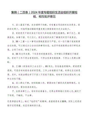 集锦（二百条）2024年度专题组织生活会组织开展检视、相互批评意见.docx