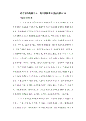 市政府办副秘书长、副主任民主生活会对照材料.docx