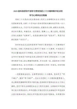 2023县科级领导干部学习贯彻党的二十大精神集中轮训班学习心得体会合集篇.docx