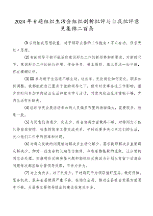 2024年专题组织生活会组织剖析批评与自我批评意见集锦二百条.docx