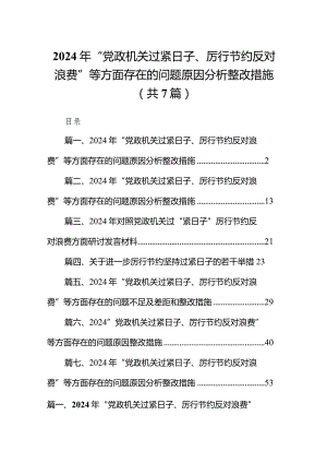 2024年“党政机关过紧日子、厉行节约反对浪费”等方面存在的问题原因分析整改措施（7篇）.docx