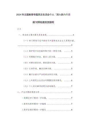 2024年主题教育专题民主生活会个人“深入新六个方面”对照检查发言提纲范文.docx
