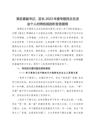 某区委副书记、区长2023年度专题民主生活会个人对照检视剖析发言提纲.docx