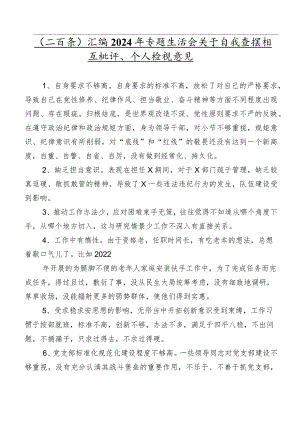 （二百条）汇编2024年专题生活会关于自我查摆相互批评、个人检视意见.docx