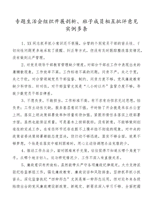 专题生活会组织开展剖析、班子成员相互批评意见实例多条.docx