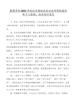 集锦多例2023年组织专题组织生活会对照检查剖析个人检视、相互批评意见.docx