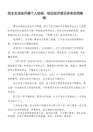 民主生活会开展个人检视、相互批评意见多条实例集锦.docx