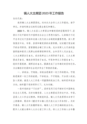 镇人大主席团2023年工作报告.docx