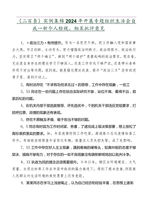（二百条）实例集锦2024年开展专题组织生活会自我剖析个人检视、相互批评意见.docx