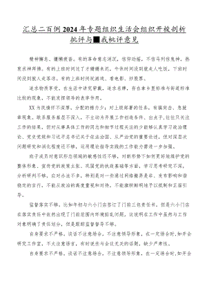 汇总二百例2024年专题组织生活会组织开展剖析批评与自我批评意见.docx