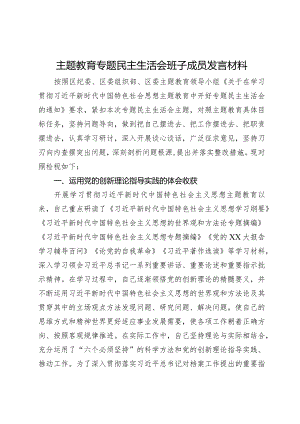 档案馆主题教育专题民主生活会班子成员发言材料.docx