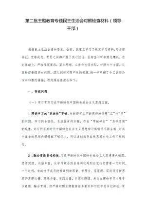 第二批主题教育专题民主生活会对照检查材料(领导干部).docx