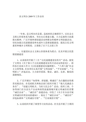 县文明办年工作总结.docx
